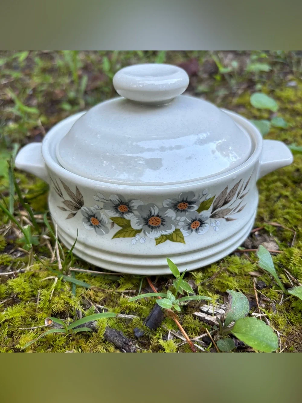 Vintage 1980 Heavenly Bake, Serve 'n Store Stoneware Dishes with Lids - Set of 2